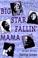 Cover of: Big star fallin' mama