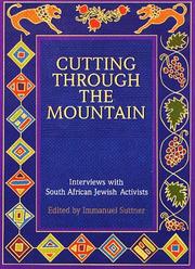 Cover of: Cutting through the mountain by edited by Immanuel Suttner.