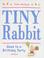 Cover of: Tiny Rabbit goes to a birthday party