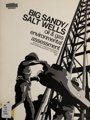 Cover of: Big Sandy/Salt Wells oil & gas environmental assessment by United States. Bureau of Land Management. Rock Springs District
