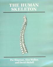 Cover of: The human skeleton by Pat Shipman