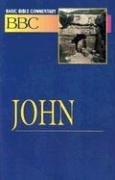 Cover of: Basic Bible Commentary John Volume 20 (Abingdon Basic Bible Commentary)