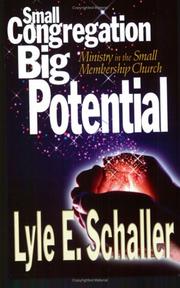 Cover of: Small Congregation, Big Potential by Lyle E. Schaller