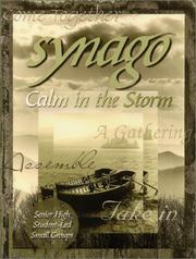 Cover of: Synago: Calm in the Storm (Synago)