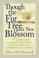 Cover of: Though the Fig Tree Does Not Blossom