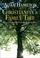 Cover of: Christianity's Family Tree