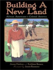 Cover of: Building a new land by James Haskins