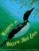 Cover of: Washing the Willow Tree Loon