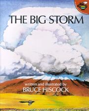 Cover of: The Big Storm (Aladdin Picture Books)