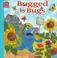 Cover of: Bugged by bugs