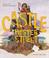 Cover of: The Castle on Hester Street