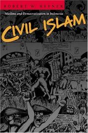 Cover of: Civil Islam