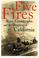 Cover of: Five fires