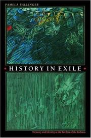 Cover of: History in exile: memory and identity at the borders of the Balkans