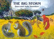 Cover of: The Big Storm by Dave Saunders