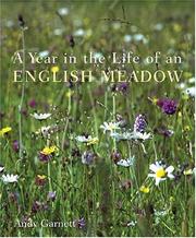 Cover of: A Year in the Life of an English Meadow