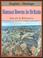 Cover of: The English Heritage Book of Roman Towns