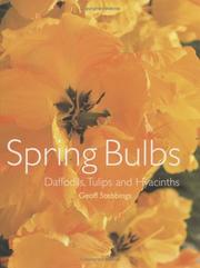 Spring Bulbs by Geoff Stebbings