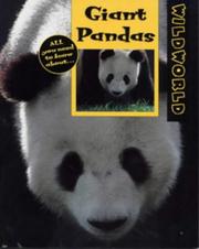 Cover of: Giant Pandas (Wild World)