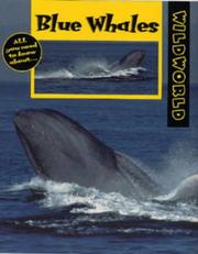Cover of: Blue Whales (Wild World)