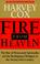 Cover of: Fire from Heaven