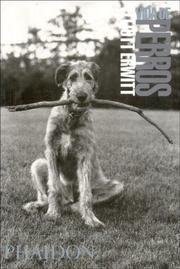 Cover of: Vida de Perros / Dog Dogs
