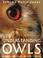 Cover of: Understanding owls