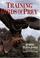 Cover of: Training Birds of Prey