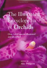 Cover of: The Encyclopedia of Orchids by Alec Pridgeon