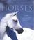 Cover of: The Truth About Horses