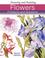 Cover of: Drawing and Painting Flowers