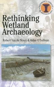 Rethinking wetland archaeology by Robert Van de Noort, Aidan O'Sullivan