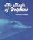 Cover of: The Magic of Dolphins