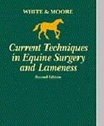 Cover of: Current techniques in equine surgery and lameness