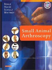 Cover of: Small Animal Arthroscopy