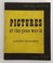 Cover of: Pictures of the Gone World (Pocket Poets Series Number One)