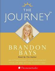 Cover of: The Journey by Brandon Bays