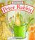 Cover of: Peter Rabbit Little Pop-up