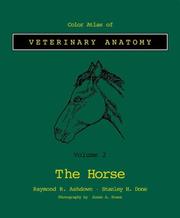 Cover of: Color Atlas Veterinary Anatomy: Volume 2, The Horse