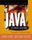 Cover of: Java Software Solutions