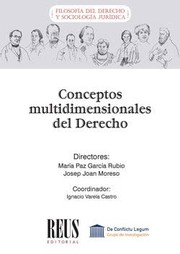 Cover of: Conceptos multidimensionales del Derecho