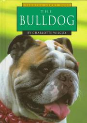 The bulldog by Charlotte Wilcox