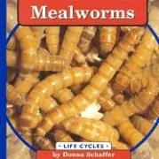 Cover of: Mealworms by 