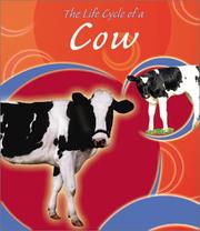 Cover of: The Life Cycle of a Cow (Life Cycles)