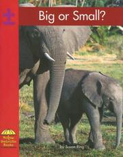 Cover of: Big or Small? (Yellow Umbrella Math)