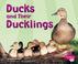 Cover of: Ducks and Their Ducklings