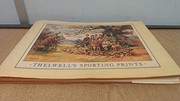 Cover of: Thelwell's Sporting prints.