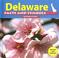 Cover of: Delaware facts and symbols