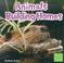 Cover of: Animals Building Homes (First Facts. Animal Behavior.)