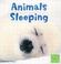 Cover of: Animals Sleeping (Animal Behavior)